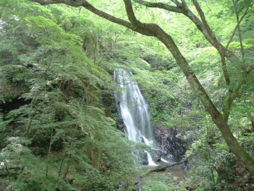 玉簾の滝