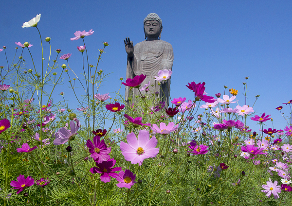 花に囲まれて