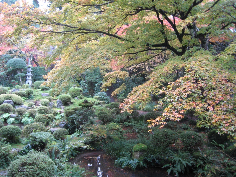 心、沁みる