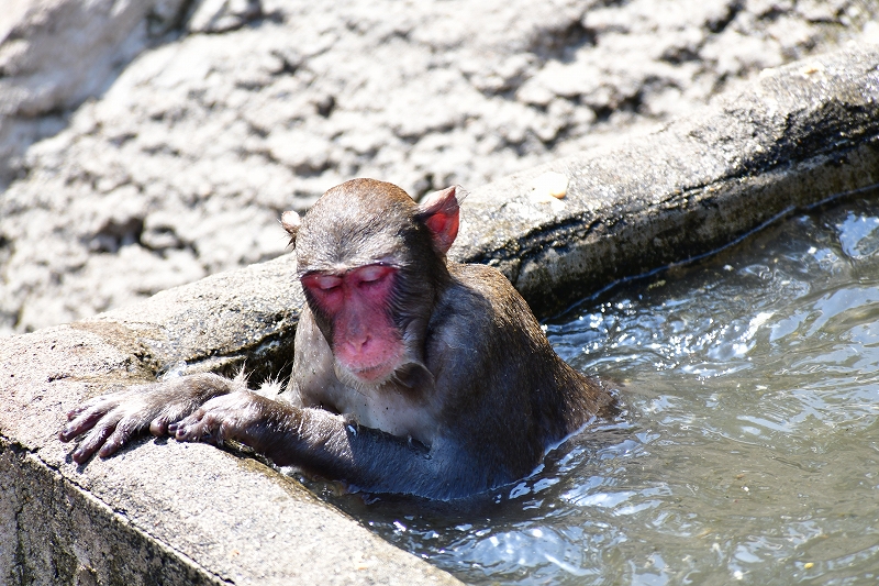 きもちい~~~