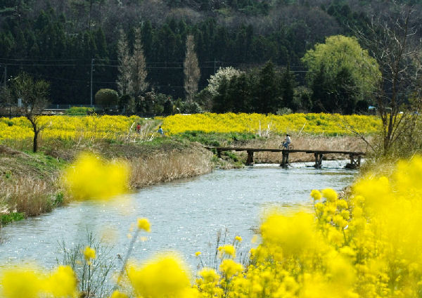 里川 