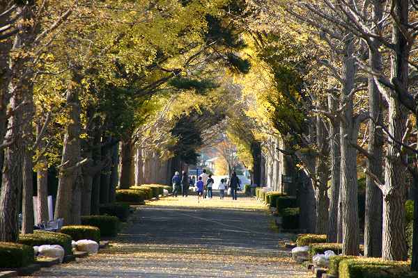 笠松運動公園