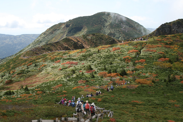 八甲田山 （山頂付近）