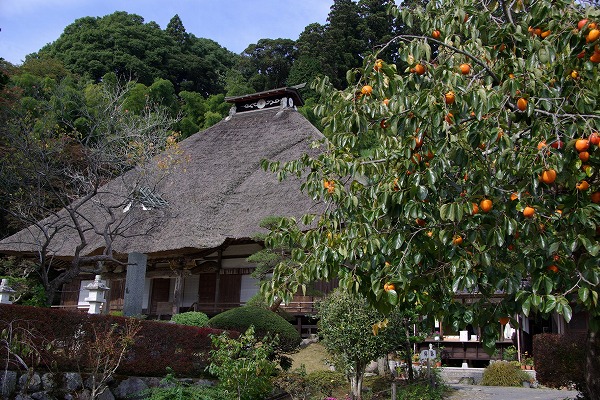 冬めく浄蓮寺