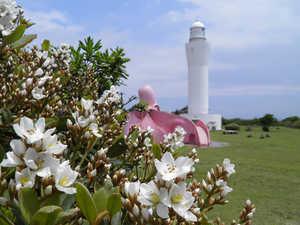 花ほころぶ古房地公園